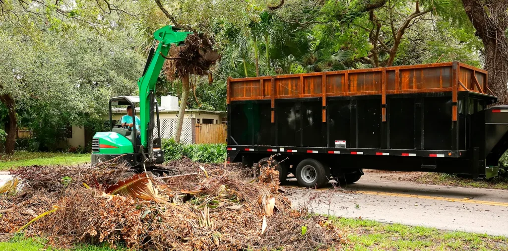 Junk Removal