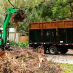 Junk Removal
